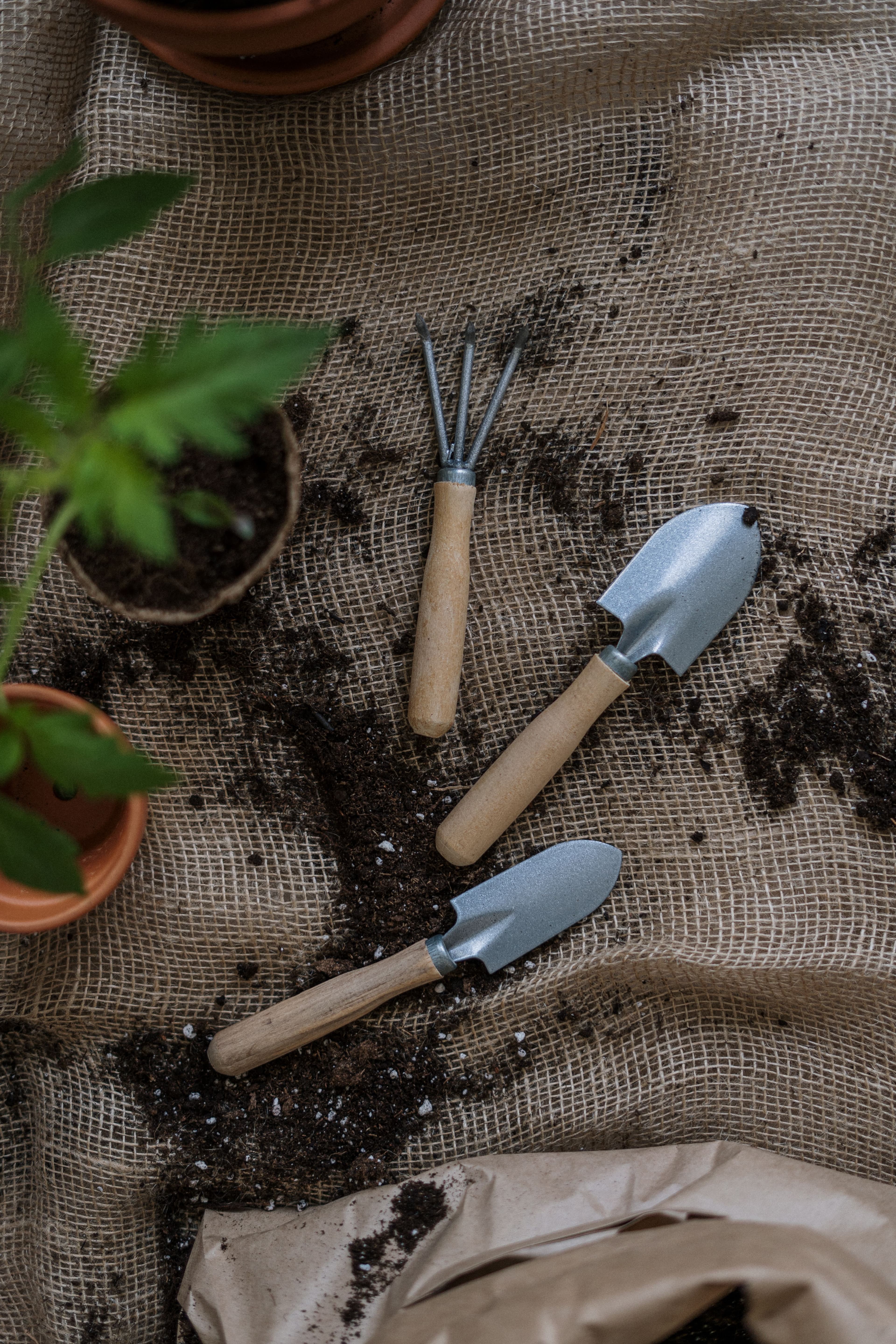 Hand trowel, fork and cultivator laid out on burlap with potting soil